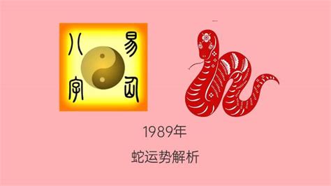 1989什么蛇|1989年属蛇是什么命 1989年出生人的命运